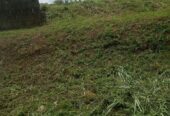 Plot of Land in Epe