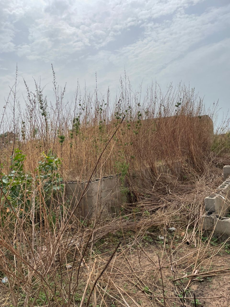 2 Units Of 1 Bedroom Flats Foundation With Soak Away Already Done On 100ft by 75ft in Crusher Lokoja Kogi State. 09076212324