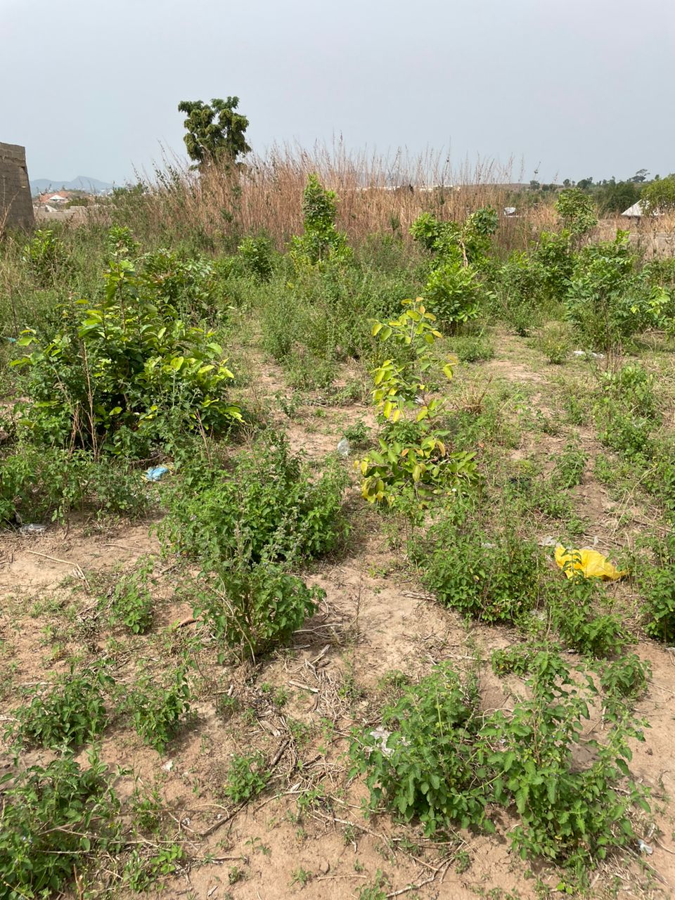 2 Units Of 1 Bedroom Flats Foundation With Soak Away Already Done On 100ft by 75ft in Crusher Lokoja Kogi State. 09076212324