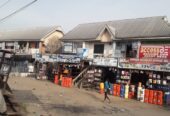 FOR SALE – A Property (20 plots of land) at the Famous Tombia Round-about, Yenagoa (Call 08036777252)