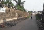 FOR SALE – A Property (20 plots of land) at the Famous Tombia Round-about, Yenagoa (Call 08036777252)