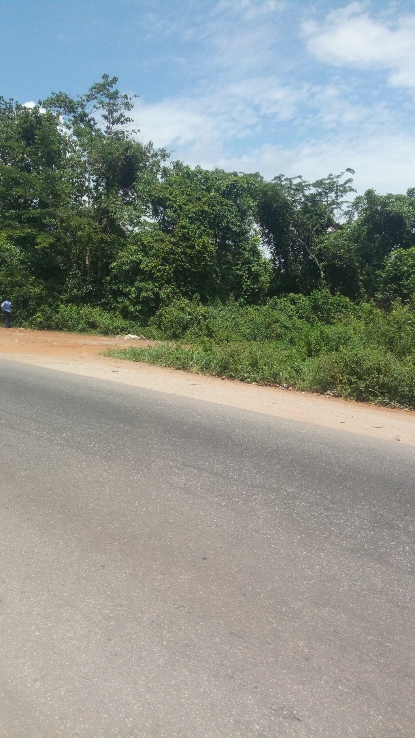30acres of fertile farmland suitable for arable, cash crop plantation and livestock breeding