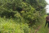 30acres of fertile farmland suitable for arable, cash crop plantation and livestock breeding