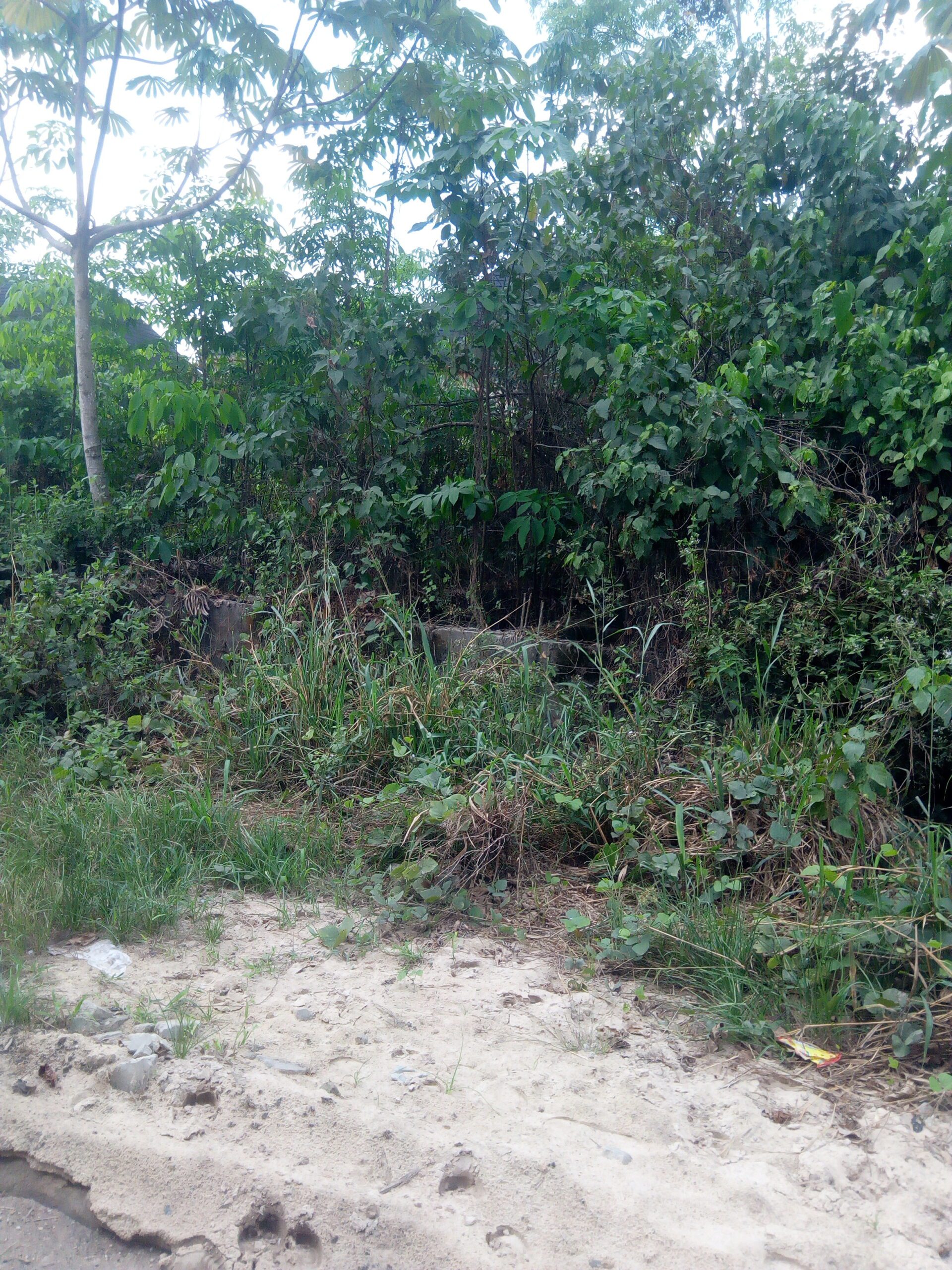 A plot of land of 100*50 in size at charlisco warri delta state