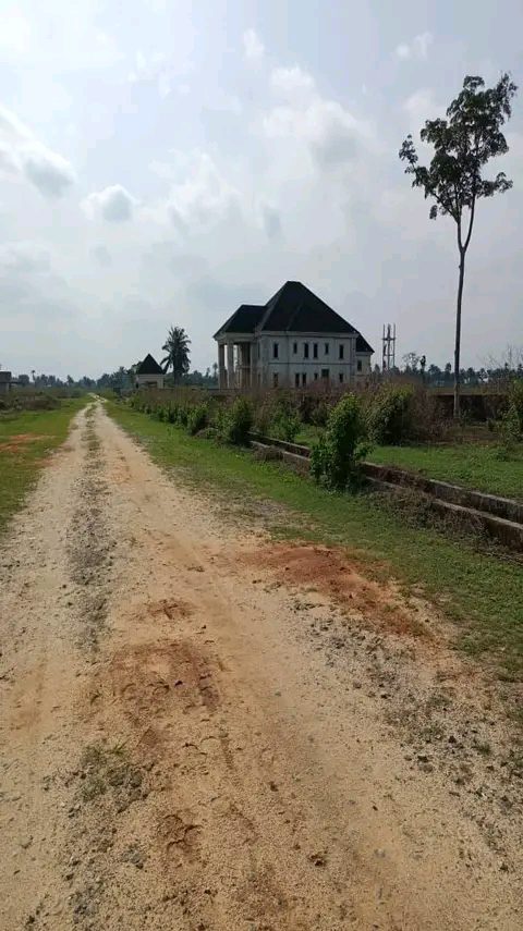 2 PLOTS OF LAND