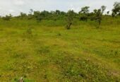 For Sale: 21 Hectares Land for Sale at Mararaba – Call 07044116672