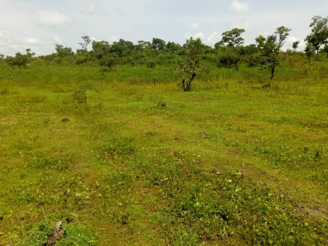 For Sale: 21 Hectares Land for Sale at Mararaba – Call 07044116672