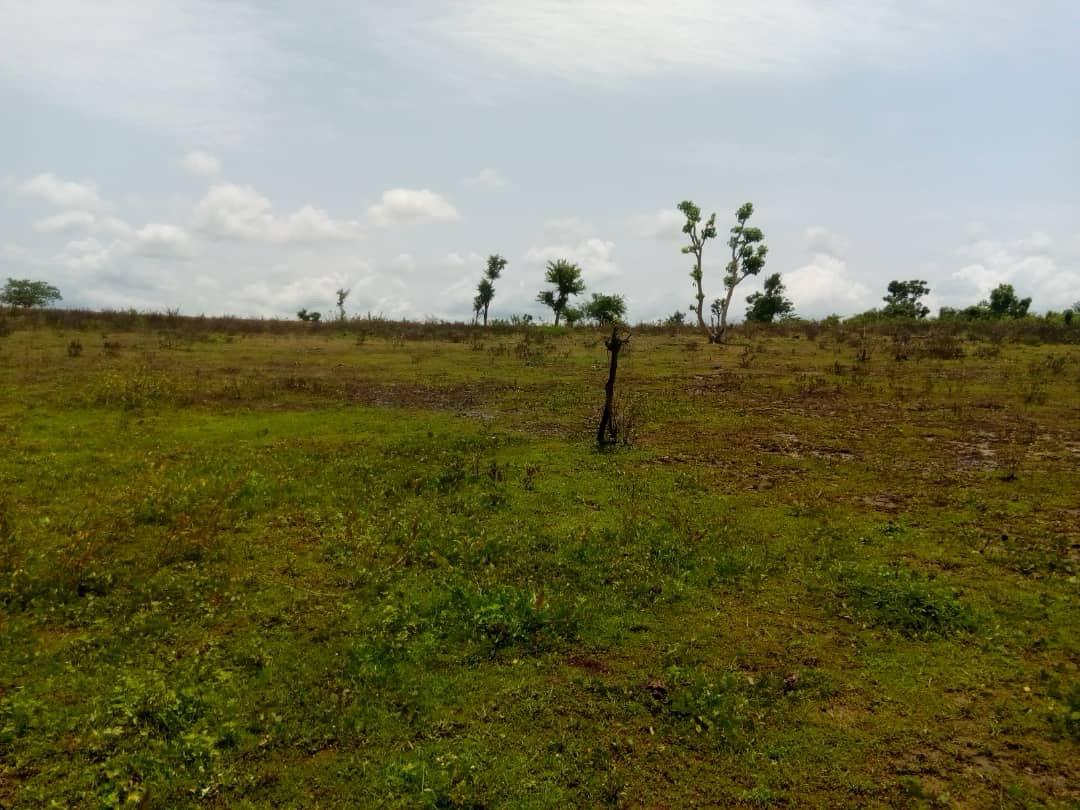 For Sale: 21 Hectares Land for Sale at Mararaba – Call 07044116672