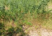 2 plot of land for sale