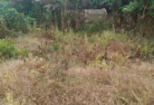 2 plot of land for sale