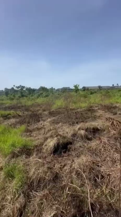 929sqm Prime Residential Land for Sale in Yenagoa – Call 09136193290