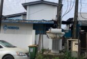 Spacious Duplex Wing with Separate Bungalow in Surulere – call 08058619689
